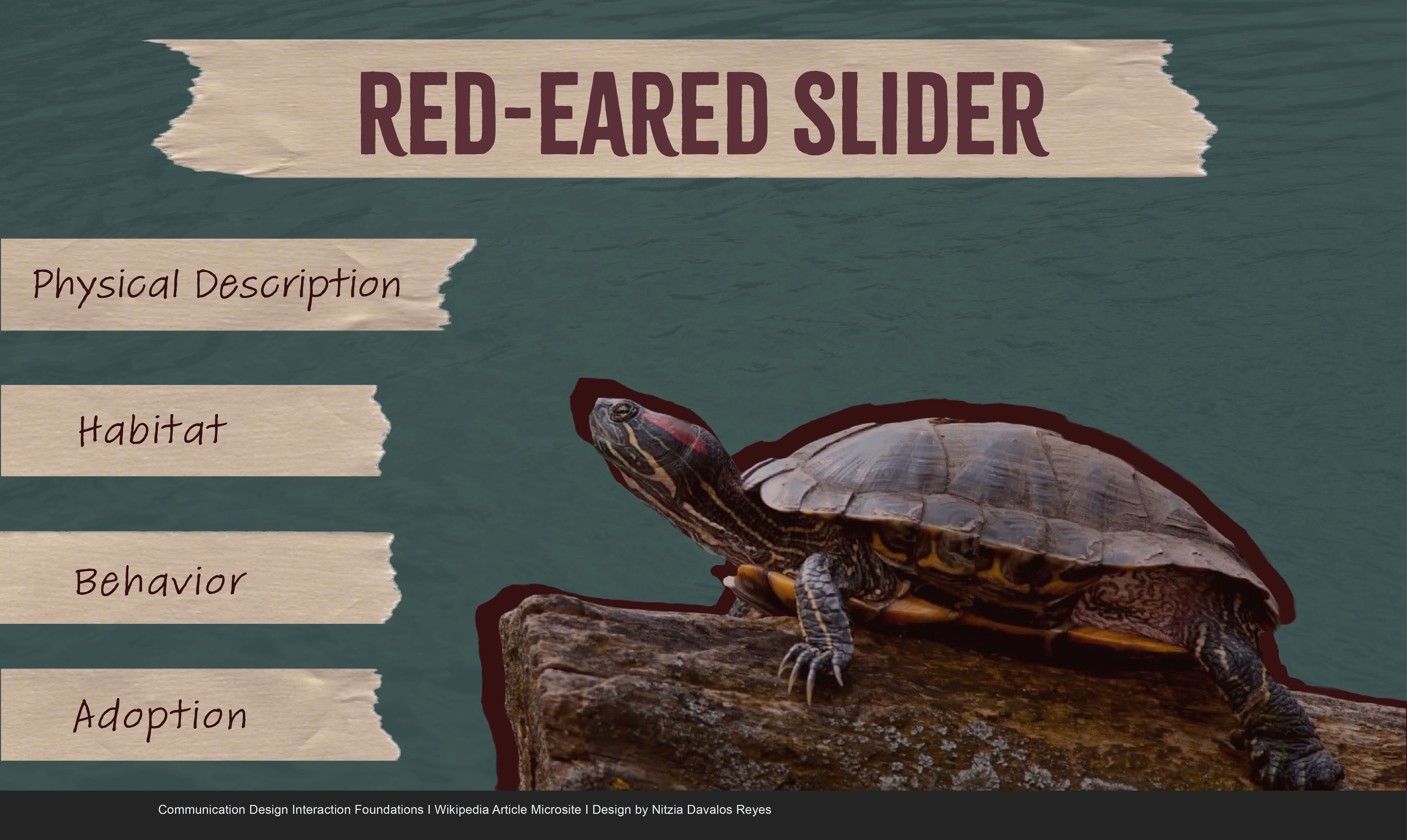 desktop view of microsite mockup A