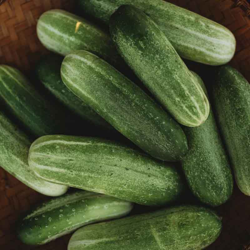 cucumbers